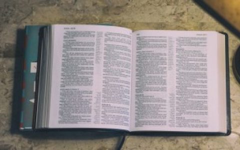 发脾气是什么意思,发脾气解释