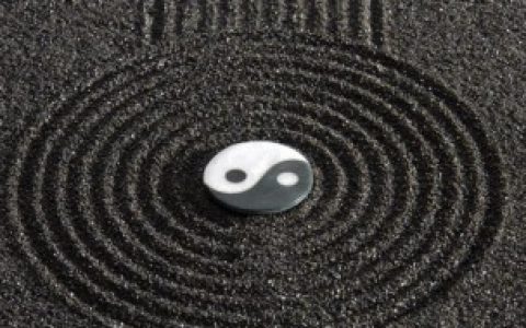 贤字五行属什么（贤字五行属木是吗）