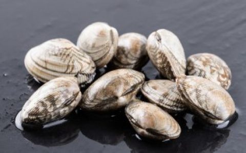 花甲吐沙放什么（花甲吐沙放香油还是色拉油）