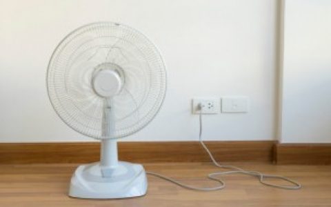 如何选购电风扇（选购电风扇的方法）