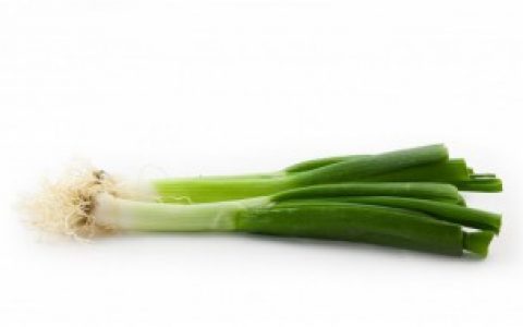 大葱可以放冰箱冷冻吗 大葱能放冰箱冷冻吗
