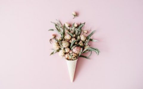 什么花适合放在室内养,哪些花适合放在室内养