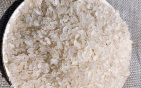 梗米长什么样,梗米长啥样