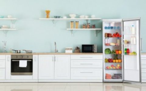 冰箱上面是否能放东西,电冰箱上面能放东西吗