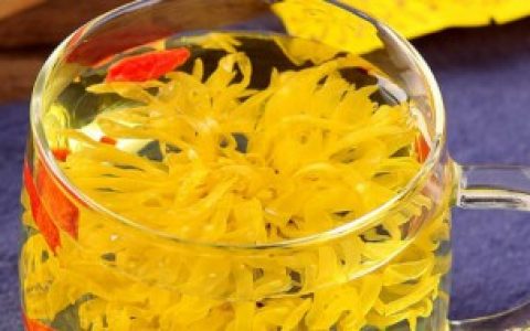 金丝皇菊可以天天喝吗,金丝皇菊的好处