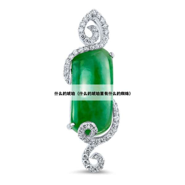 什么的琥珀（什么的琥珀里有什么的蜘蛛）