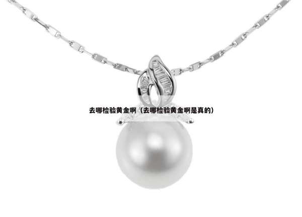 去哪检验黄金啊（去哪检验黄金啊是真的）