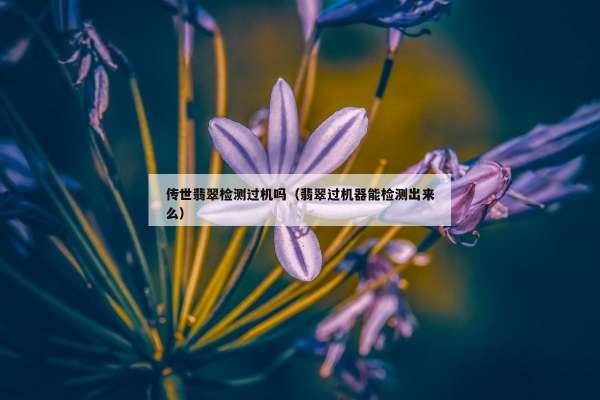 传世翡翠检测过机吗（翡翠过机器能检测出来么）