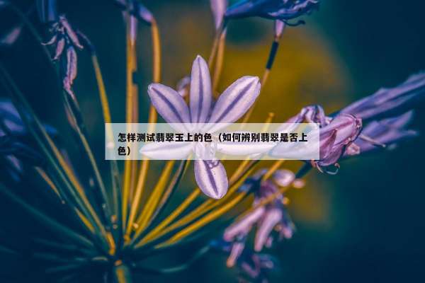 怎样测试翡翠玉上的色（如何辨别翡翠是否上色）