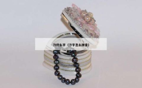 汴什么字（汴字怎么拼音）