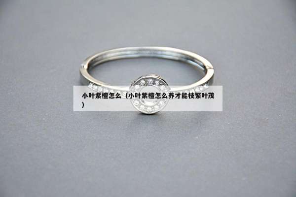 小叶紫檀怎么（小叶紫檀怎么养才能枝繁叶茂）