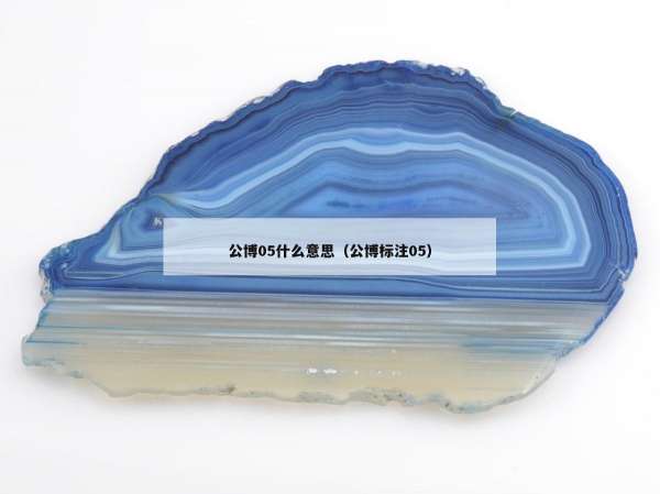 公博05什么意思（公博标注05）