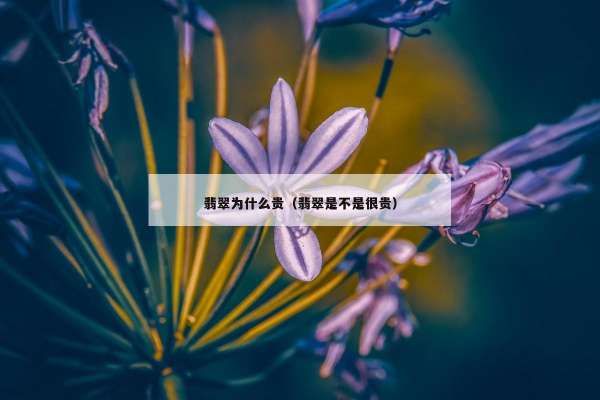 翡翠为什么贵（翡翠是不是很贵）