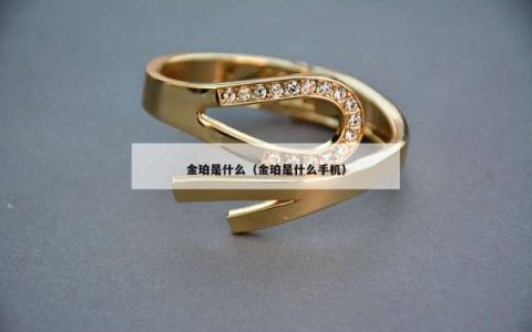 金珀是什么（金珀是什么手机）