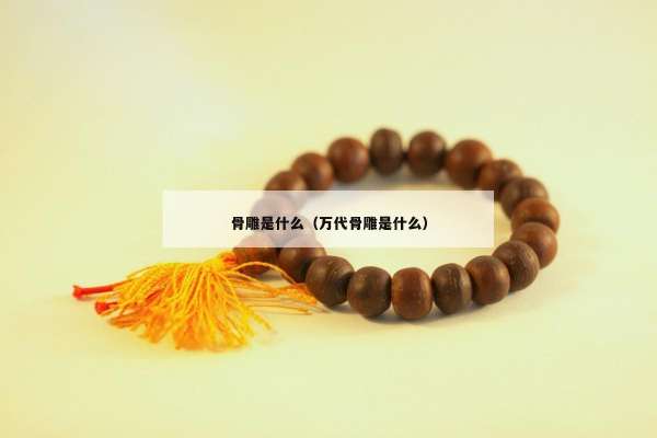 骨雕是什么（万代骨雕是什么）