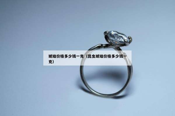 琥珀价格多少钱一克（昆虫琥珀价格多少钱一克）