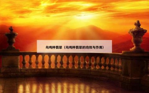 乌鸡种翡翠（乌鸡种翡翠的功效与作用）