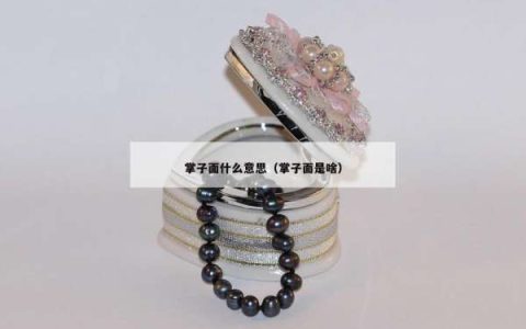 掌子面什么意思（掌子面是啥）
