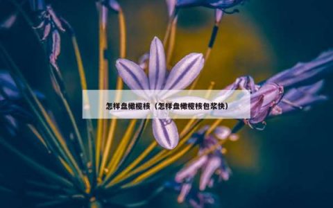 怎样盘橄榄核（怎样盘橄榄核包浆快）