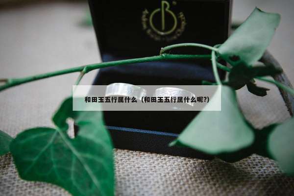 和田玉五行属什么（和田玉五行属什么呢?）