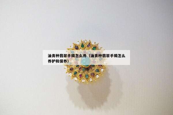 油青种翡翠手镯怎么养（油青种翡翠手镯怎么养护和保养）