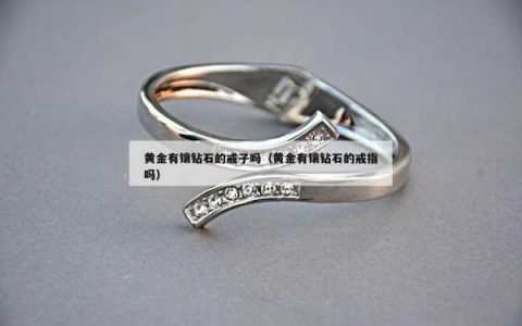 黄金有镶钻石的戒子吗（黄金有镶钻石的戒指吗）
