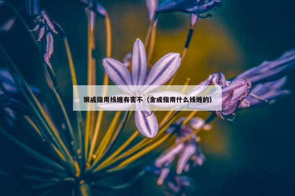 银戒指用线缠有害不（金戒指用什么线缠的）