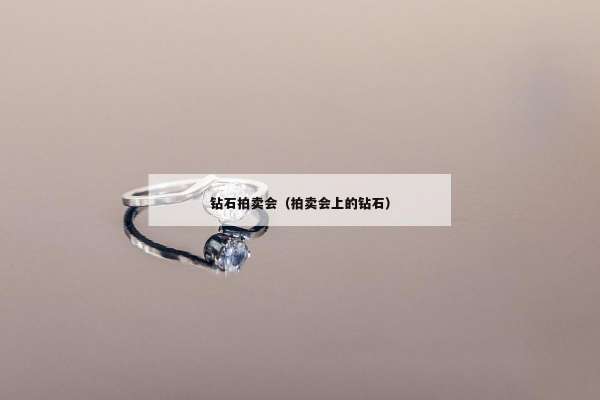 钻石拍卖会（拍卖会上的钻石）