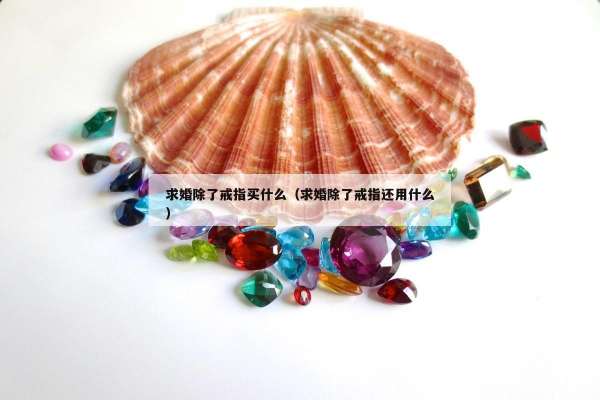 求婚除了戒指买什么（求婚除了戒指还用什么）