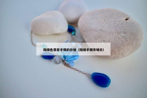 阳绿色翡翠手镯的价格（阳绿手镯市场价）