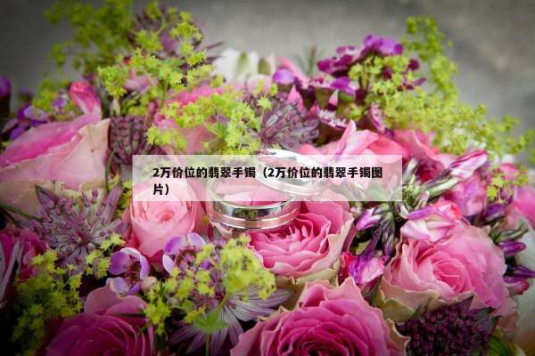 万价位的翡翠手镯（2万价位的翡翠手镯图片）"