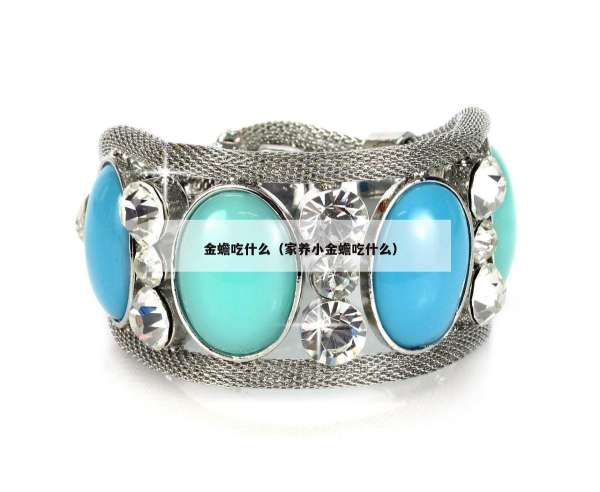 金蟾吃什么（家养小金蟾吃什么）