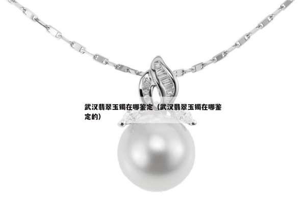 武汉翡翠玉镯在哪鉴定（武汉翡翠玉镯在哪鉴定的）