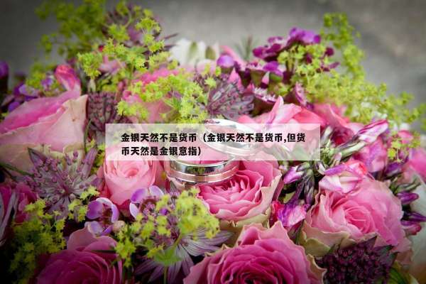 金银天然不是货币（金银天然不是货币,但货币天然是金银意指）