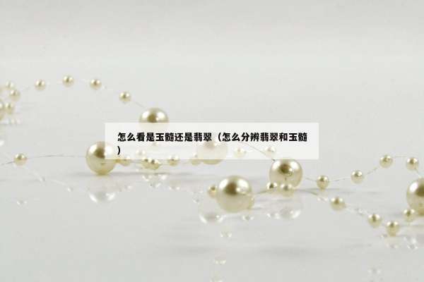 怎么看是玉髓还是翡翠（怎么分辨翡翠和玉髓）
