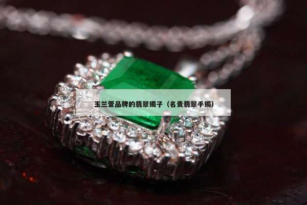 玉兰萱品牌的翡翠镯子（名贵翡翠手镯）