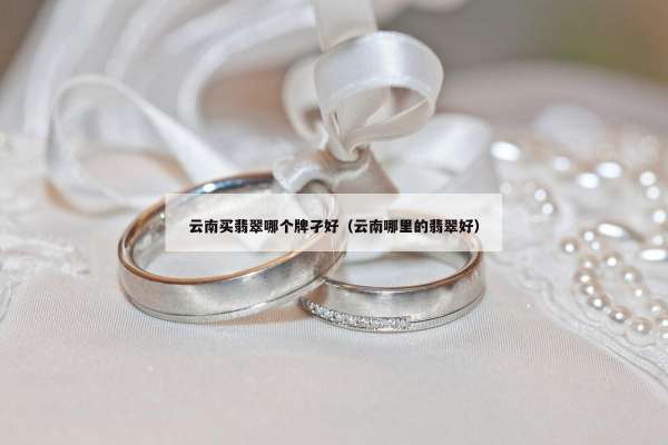 云南买翡翠哪个牌孑好（云南哪里的翡翠好）