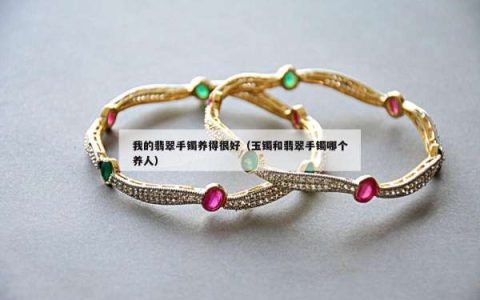 我的翡翠手镯养得很好（玉镯和翡翠手镯哪个养人）