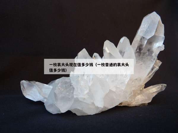 一枚袁大头现在值多少钱（一枚普通的袁大头值多少钱）