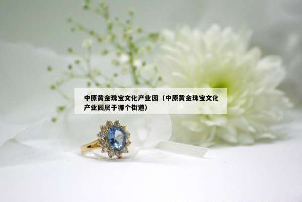 中原黄金珠宝文化产业园（中原黄金珠宝文化产业园属于哪个街道）
