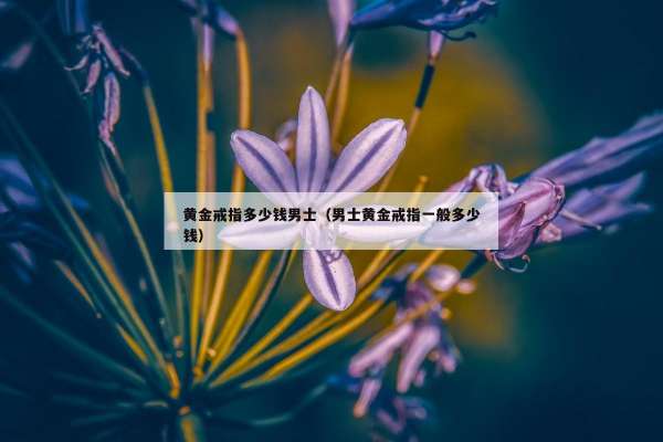 黄金戒指多少钱男士（男士黄金戒指一般多少钱）