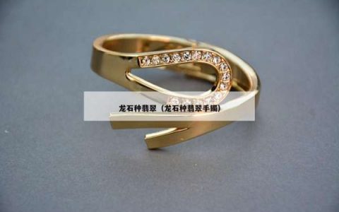 龙石种翡翠（龙石种翡翠手镯）
