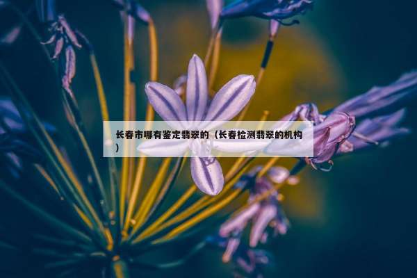 长春市哪有鉴定翡翠的（长春检测翡翠的机构）