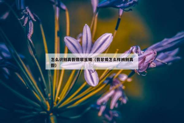 怎么识别真假翡翠玉镯（翡翠镯怎么样辨别真假）