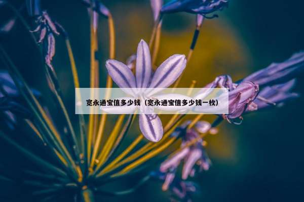 宽永通宝值多少钱（宽永通宝值多少钱一枚）