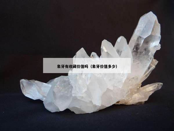 象牙有收藏价值吗（象牙价值多少）
