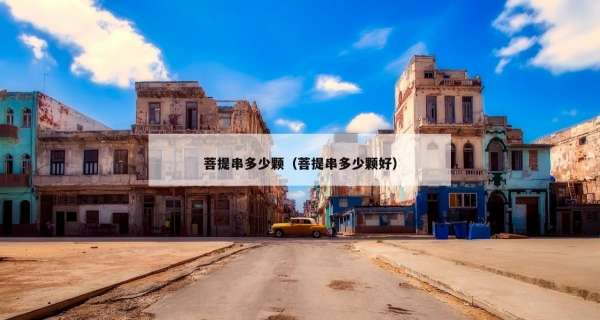 菩提串多少颗（菩提串多少颗好）