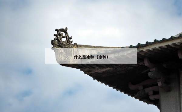 什么是冰种（冰种）