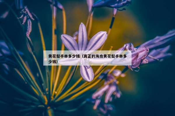 黄花梨手串多少钱（真正的海南黄花梨手串多少钱）