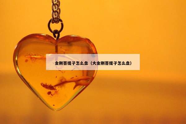 金刚菩提子怎么盘（大金刚菩提子怎么盘）